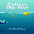 Collect The Fishのイメージ
