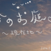 今のお庭｜現在地のイメージ
